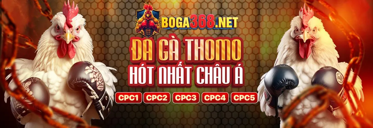 Cúp vàng và tiền thưởng trên biểu ngữ khuyến mãi thể thao của hi88vip6 win